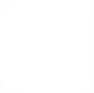 icon-socnet